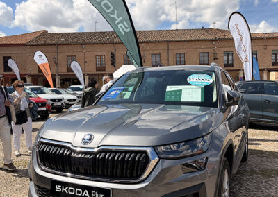 feria lerma automoviles 2026 burgos